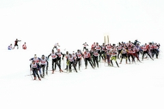 Swiss Cup 6