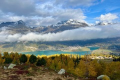 bild_01
