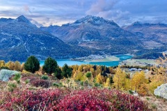 bild_14