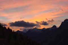 bild_15