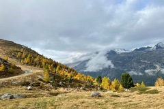 bild_02