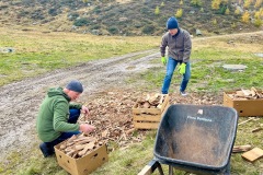 bild_03